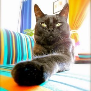 Meet your Posher, Katayoon